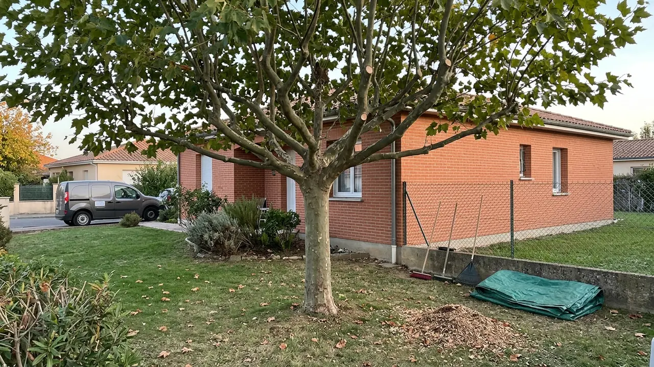 Jardin dégagé après démontage du cèdre à Vidailhan, Balma